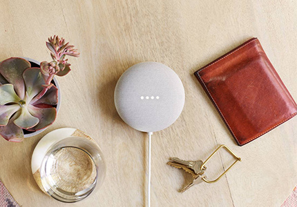 Google Nest Mini